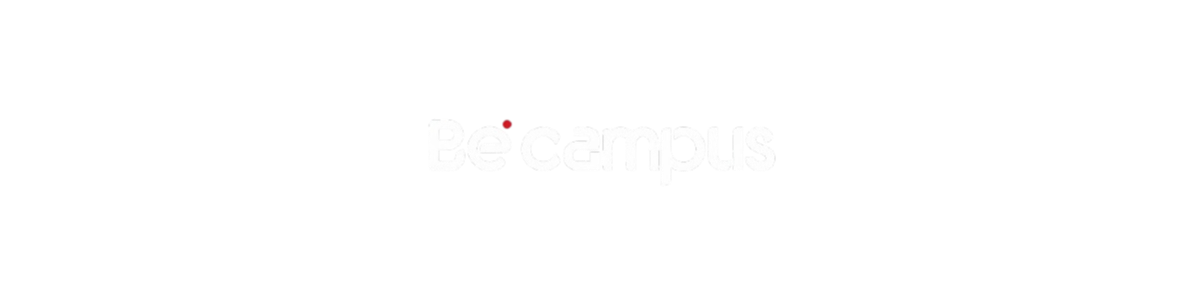 Be Campus Academy